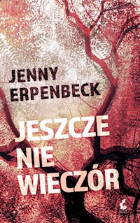 Jeszcze nie wieczór - Jenny Erpenbeck - książka