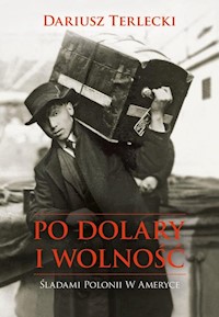Po dolary i wolność - Terlecki Dariusz Wojciech - książka