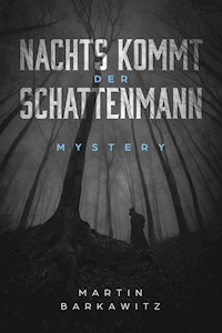 Nachts kommt der Schattenmann - Martin Barkawitz - ebook