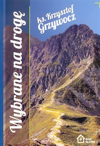 Wybrane na drogę - Krzysztof Grzywocz - książka