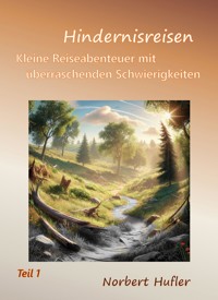 Hindernisreisen - Norbert Hufler - ebook