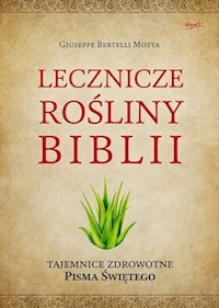 Lecznicze rośliny Biblii - Bertelli Motta Giuseppe - książka