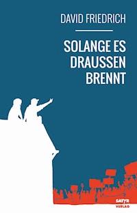 Solange es draußen brennt - David Friedrich - ebook