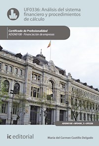 Análisis del sistema financiero y procedimiento de cálculo. ADGN0108 - María del Carmen Castillo Delgado - ebook
