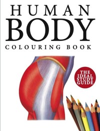 Human Body Colouring Book - Abrahams Peter - książka