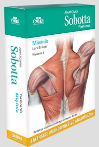 Anatomia Sobotta Flashcards Mięśnie - Brauer Lars - książka