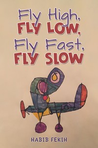 Fly High, Fly Low, Fly Fast, Fly Slow - Habib Fekih - ebook