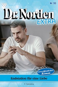 Endstation für eine Liebe - Vandenberg Patricia - ebook