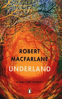 Underland - Robert Macfarlane - książka