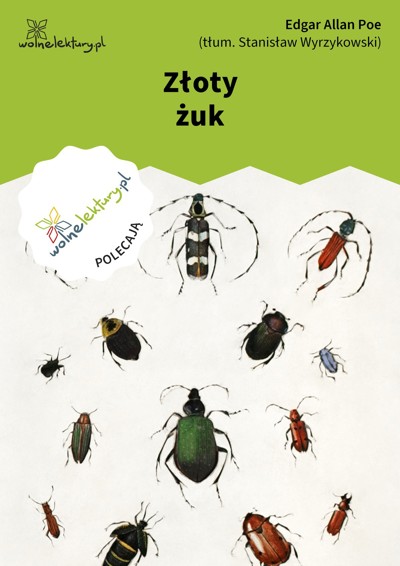 Okładka książki Złoty żuk
