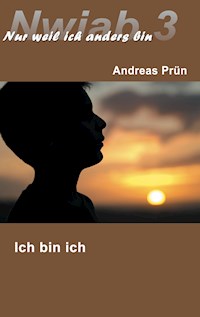 Nwiab 3 - Andreas Prün - ebook