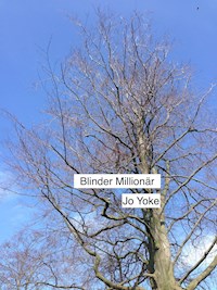 Blinder Millionär - Jo Yoke - ebook