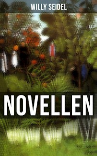 Willy Seidel: Novellen - Willy Seidel - ebook