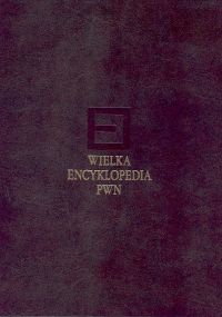 Wielka encyklopedia PWN Tom 10 -  - książka