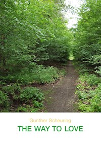 THE WAY TO LOVE - Gunther Scheuring - ebook