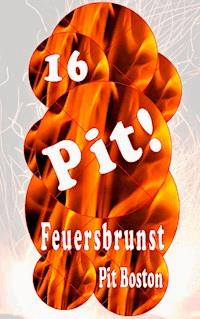 Pit! Feuersbrunst - Pit Boston - ebook