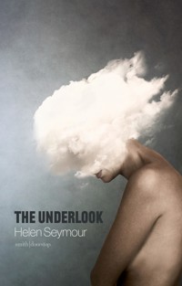 The Underlook - Helen Seymour - ebook