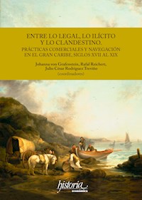 Entre lo legal, lo ilícito y lo clandestino -  - ebook
