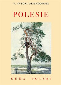 Polesie - Ossendowski Antoni Ferdynand - książka