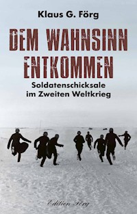 Dem Wahnsinn entkommen - Klaus G. Förg - ebook