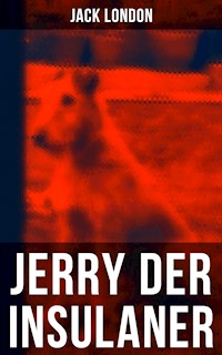 Jerry der Insulaner - Jack London - ebook