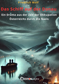 Das Schiff auf der Donau - Wolf Friedrich - ebook