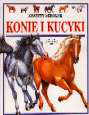 Zeszyty szkolne. Konie i kucyki - Lucy Smith - ebook