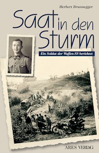 Saat in den Sturm - Herbert Brunnegger - ebook