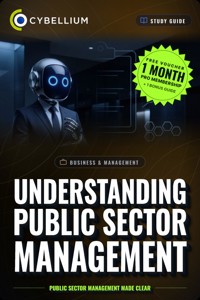 Understanding Public Sector Management - Cybellium - ebook