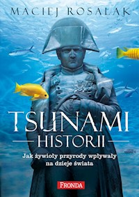 Tsunami historii - Maciej Rosalak - książka