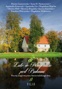 Lato w Pensjonacie pod Bukami - Dorota Gąsiorowska, Agnieszka Krawczyk, Agnieszka Lis, Magdalena Majcher, Dorota Milli, Anna H. Niemczynow, Marzena Rogalska, Joanna Szarańska, Karolina Wilczyńska, Magdalena Witkiewicz - ebook