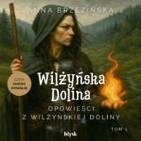Opowieści z Wilżyńskiej Doliny - Anna Brzezińska - audiobook