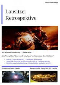 Lausitzer Retrospektive - Janek Winterlicher - ebook
