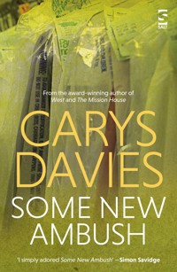 Some New Ambush - Carys Davies - ebook
