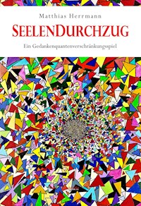 Seelendurchzug - Matthias Herrmann - ebook