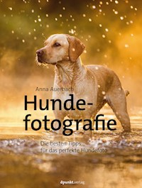 Hundefotografie - Anna Auerbach - ebook