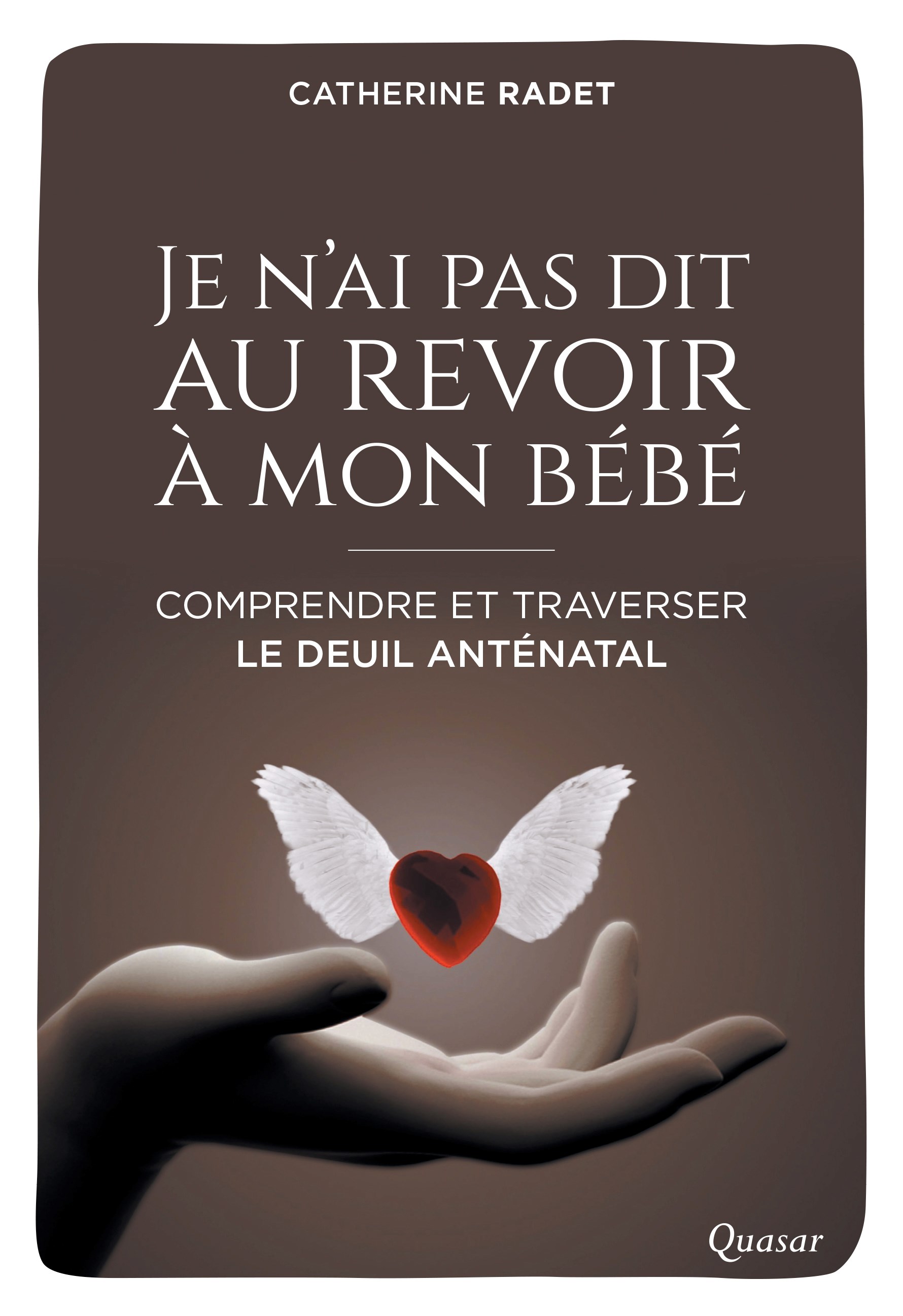 Je n'ai pas dit au revoir à mon bébé