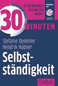 30 Minuten Selbstständigkeit - Stefanie Demmler - ebook