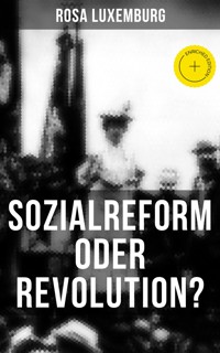 Sozialreform oder Revolution? - Rosa Luxemburg - ebook