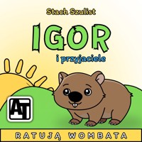 Igor i przyjaciele - Stach Szulist - audiobook