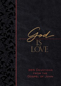 God Is Love - Brian Simmons - ebook