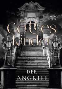 Die Gotteskinder - Bruno Meier - ebook