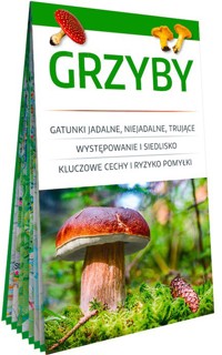 Grzyby. Poręczny miniprzewodnik po najpopularniejszych gatunkach. - zbiorowa praca - książka