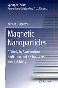 Magnetic Nanoparticles - Adriana I. Figueroa - ebook
