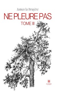 Ne pleure pas - Tome 3 - James la Bruyère - ebook