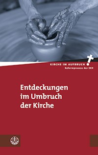 Entdeckungen im Umbruch der Kirche -  - ebook