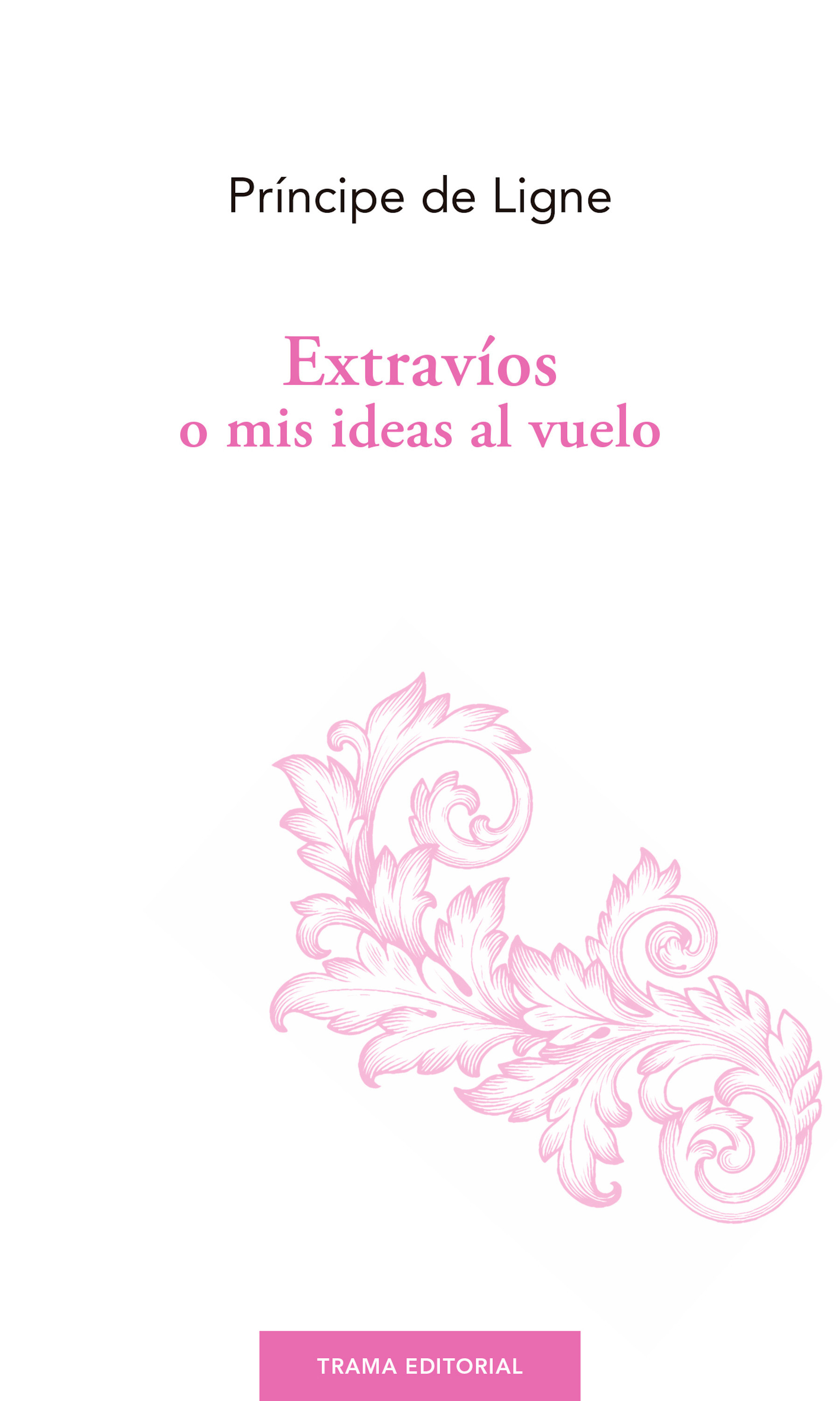 Extravíos o mis ideas al vuelo