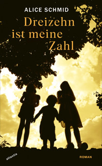 Dreizehn ist meine Zahl - Alice Schmid - ebook