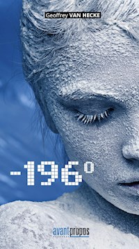 -196° - Geoffrey Van Hecke - ebook