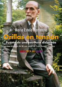Orillas en tensión. Puente de una escritura dislocada - María Estela Harretche - ebook